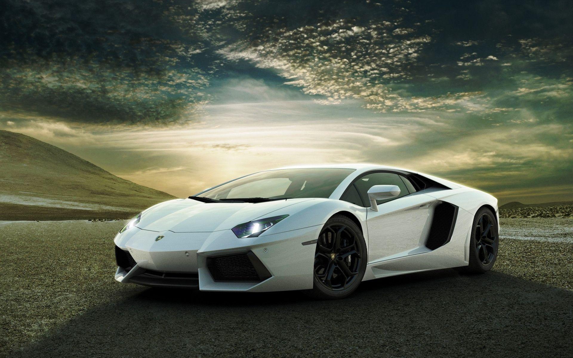 White Lamborghini Background in Cars