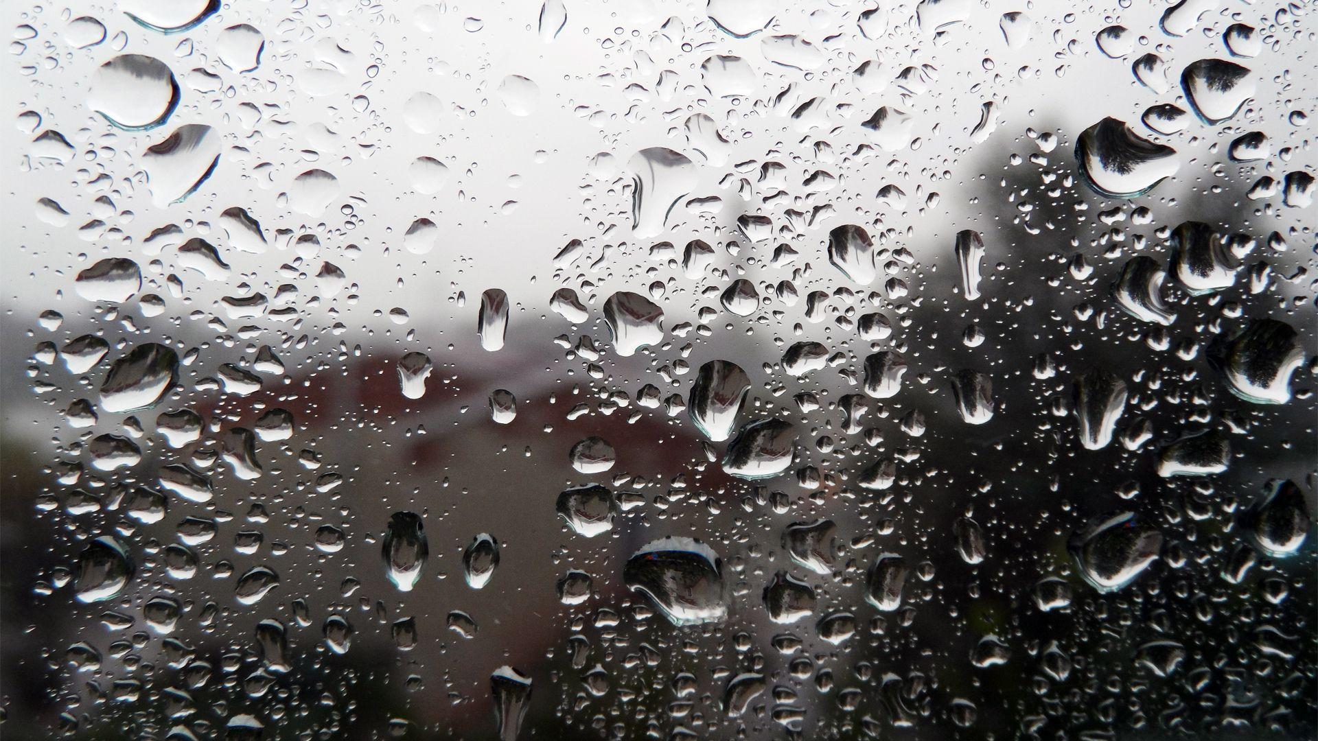 Rain drops on the window Wallpaper #