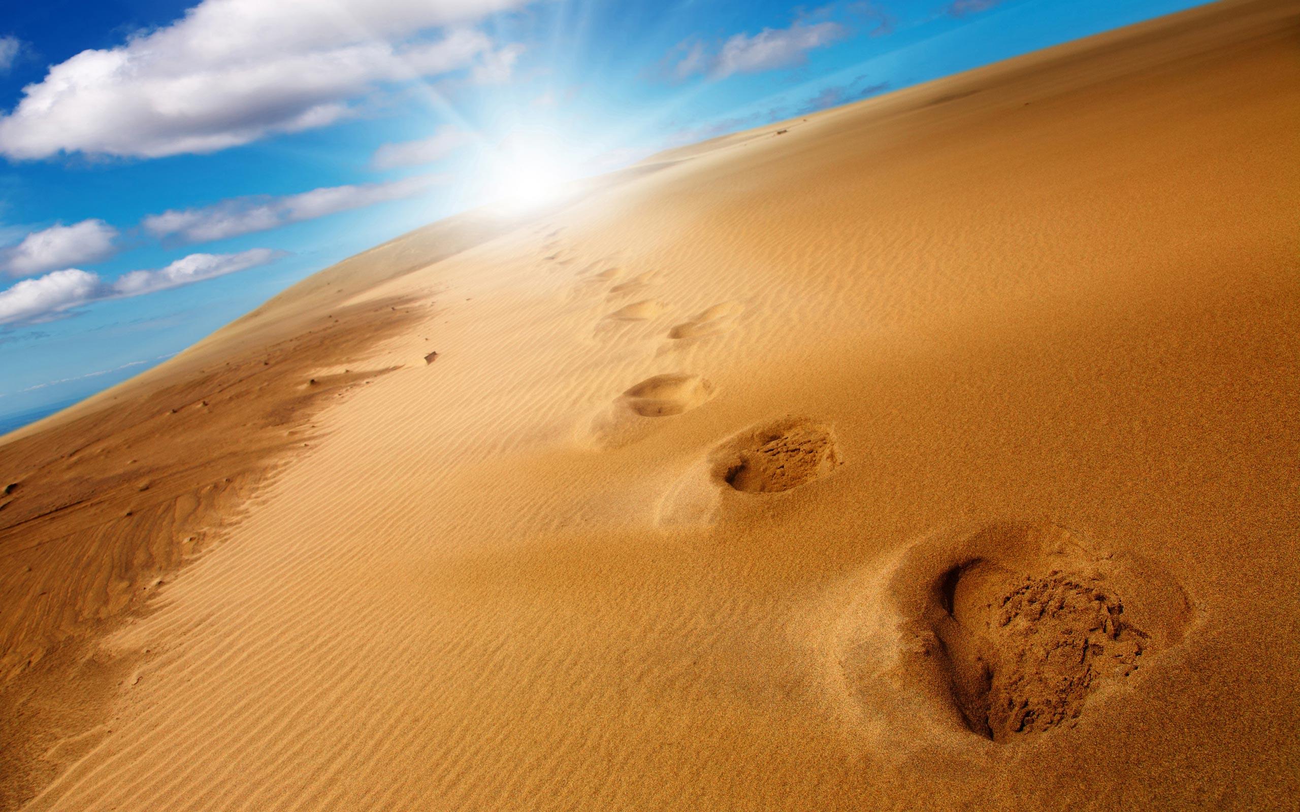 Sand Cloud Desert Sunlight Wallpaper 2560x1600. Hot HD Wallpaper
