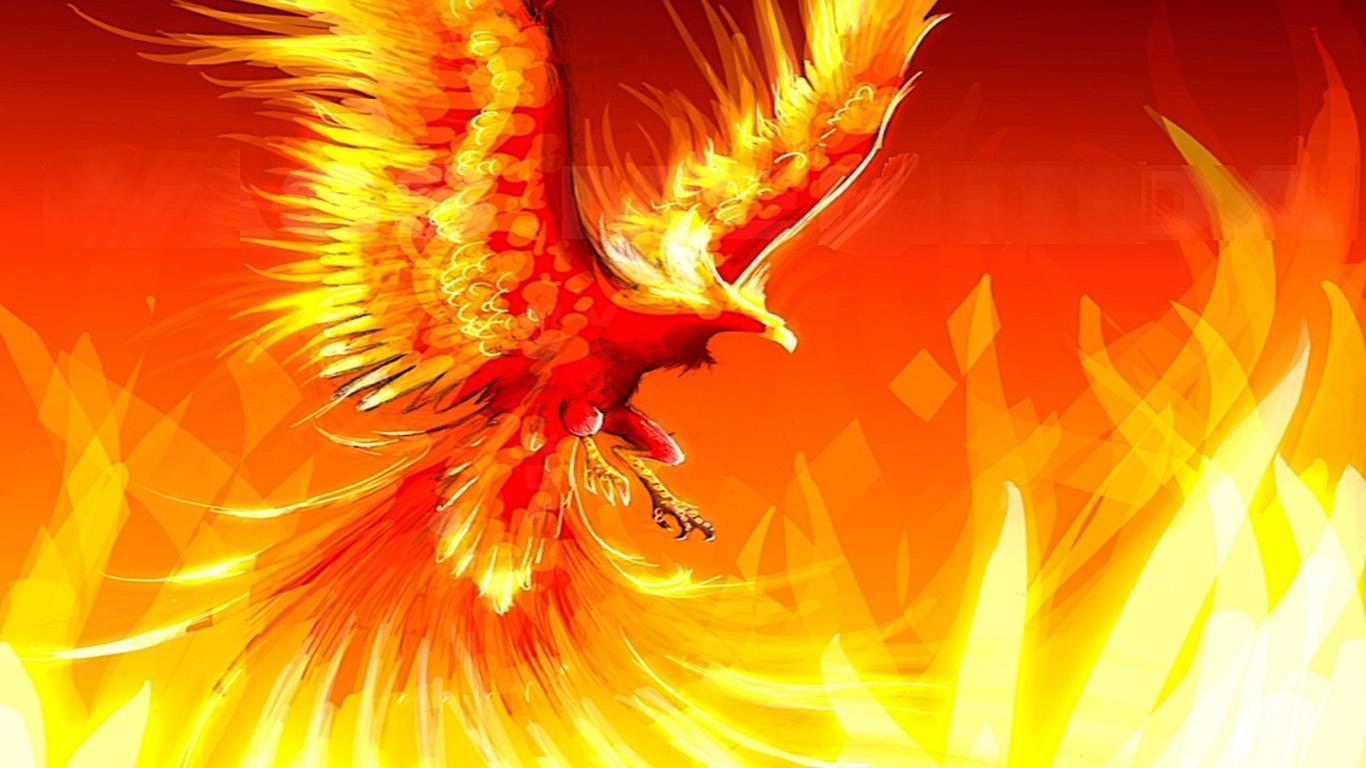 Phoenix Bird Wallpaper