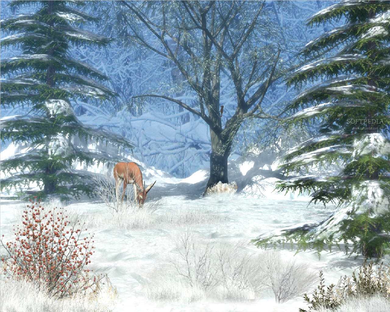 wallpaper winter afternoon animated 18026/ Wallpaper high quality