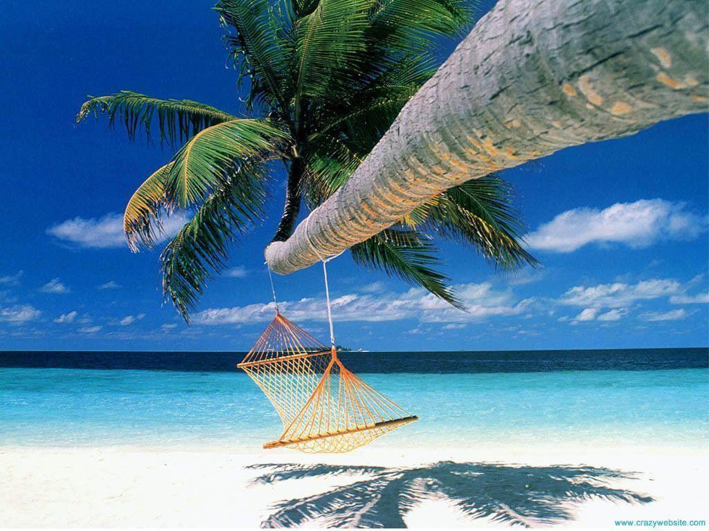 Tropical Island Beach Hammock Wallpaper Desktop