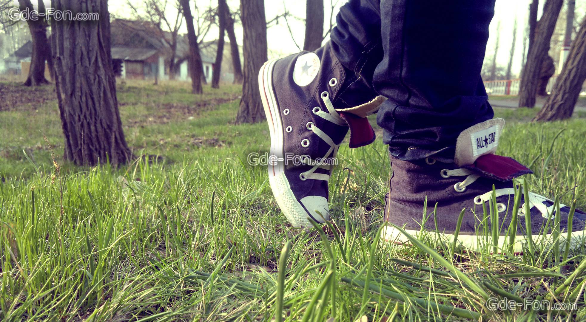 Download wallpaper All Star, converse, sneakers, grass free