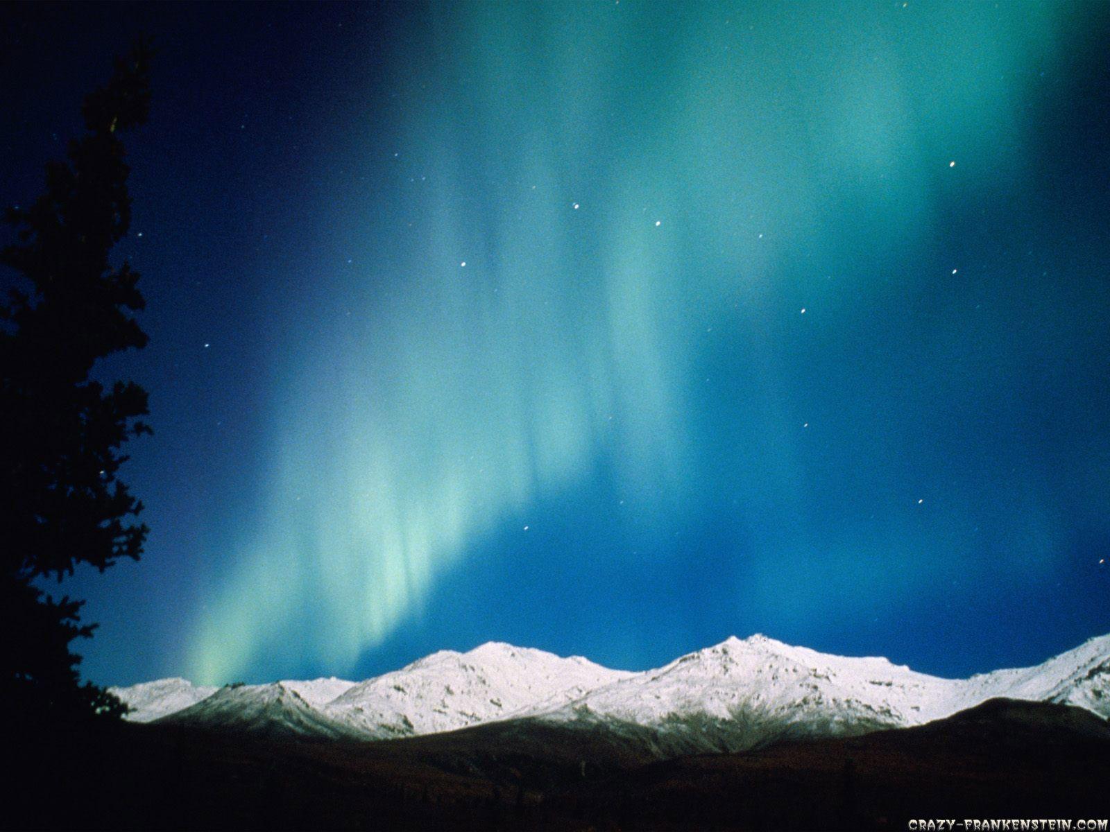 Aurora Borealis in Canada Wallpaper