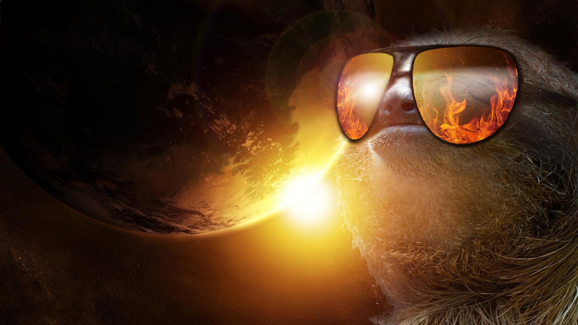 Animals For > Sloth Sunglasses Wallpaper