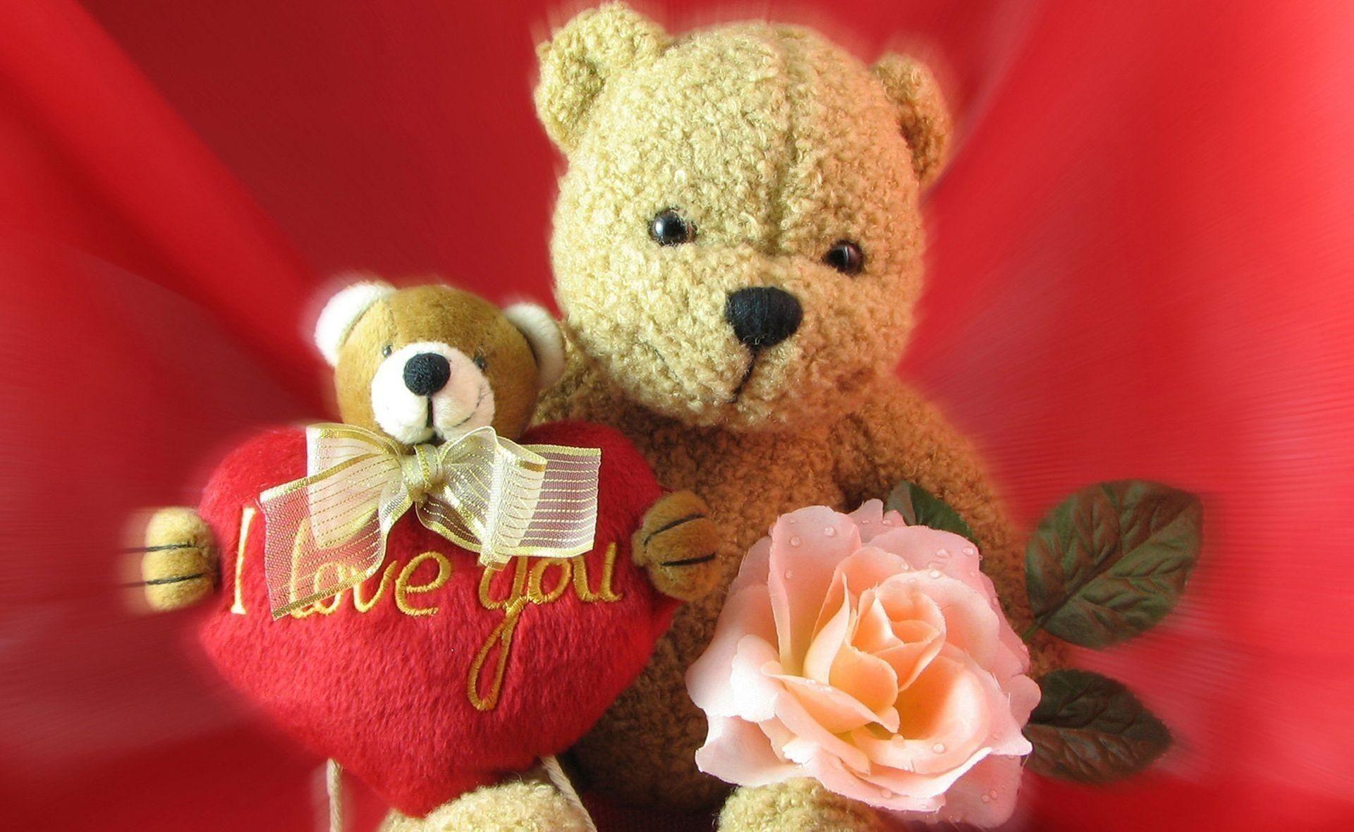 Flower Rose Love 24633 HD Wallpaper in Love n Romance