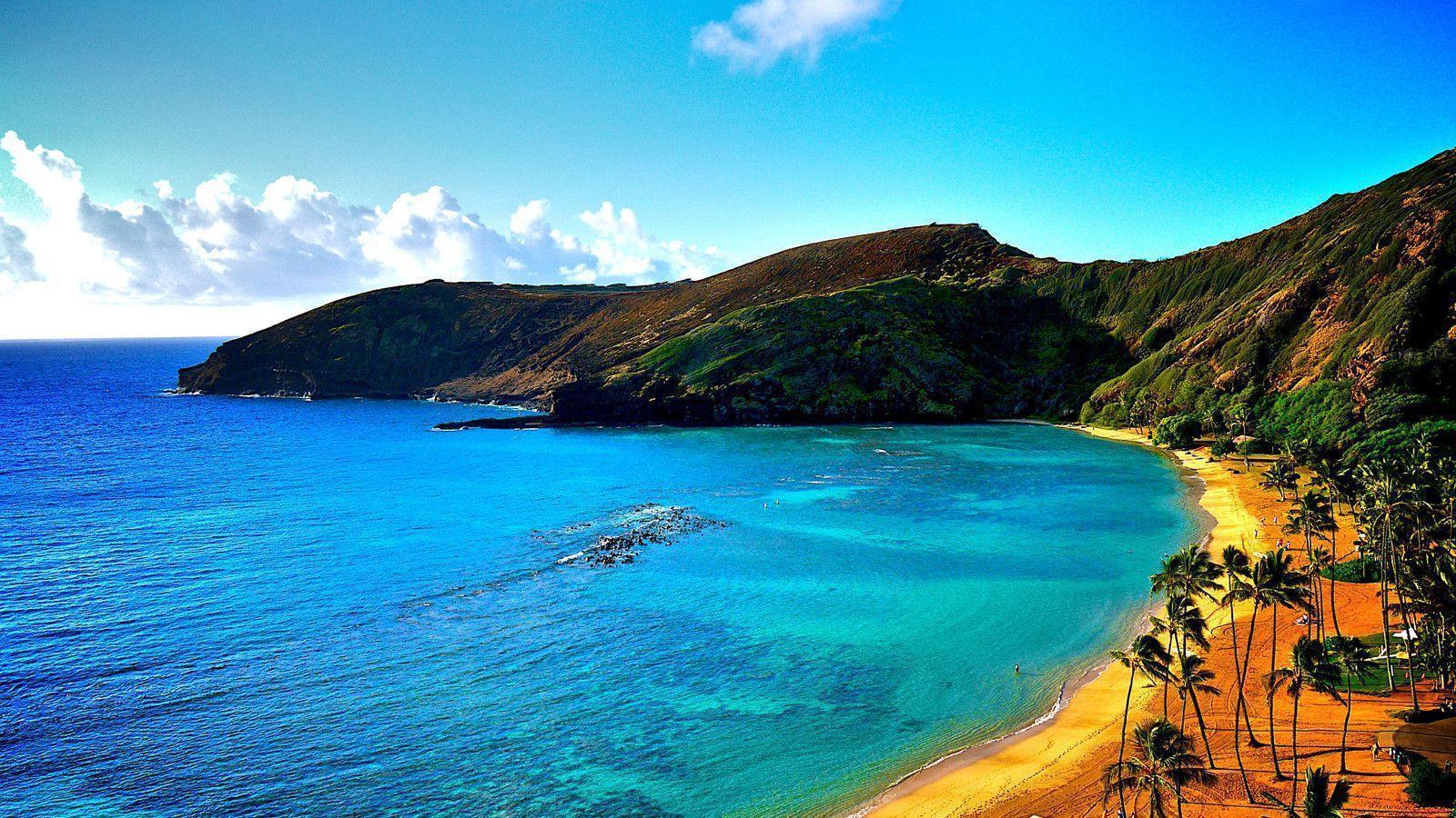 Hawaii Tourismus Download Kostenlos