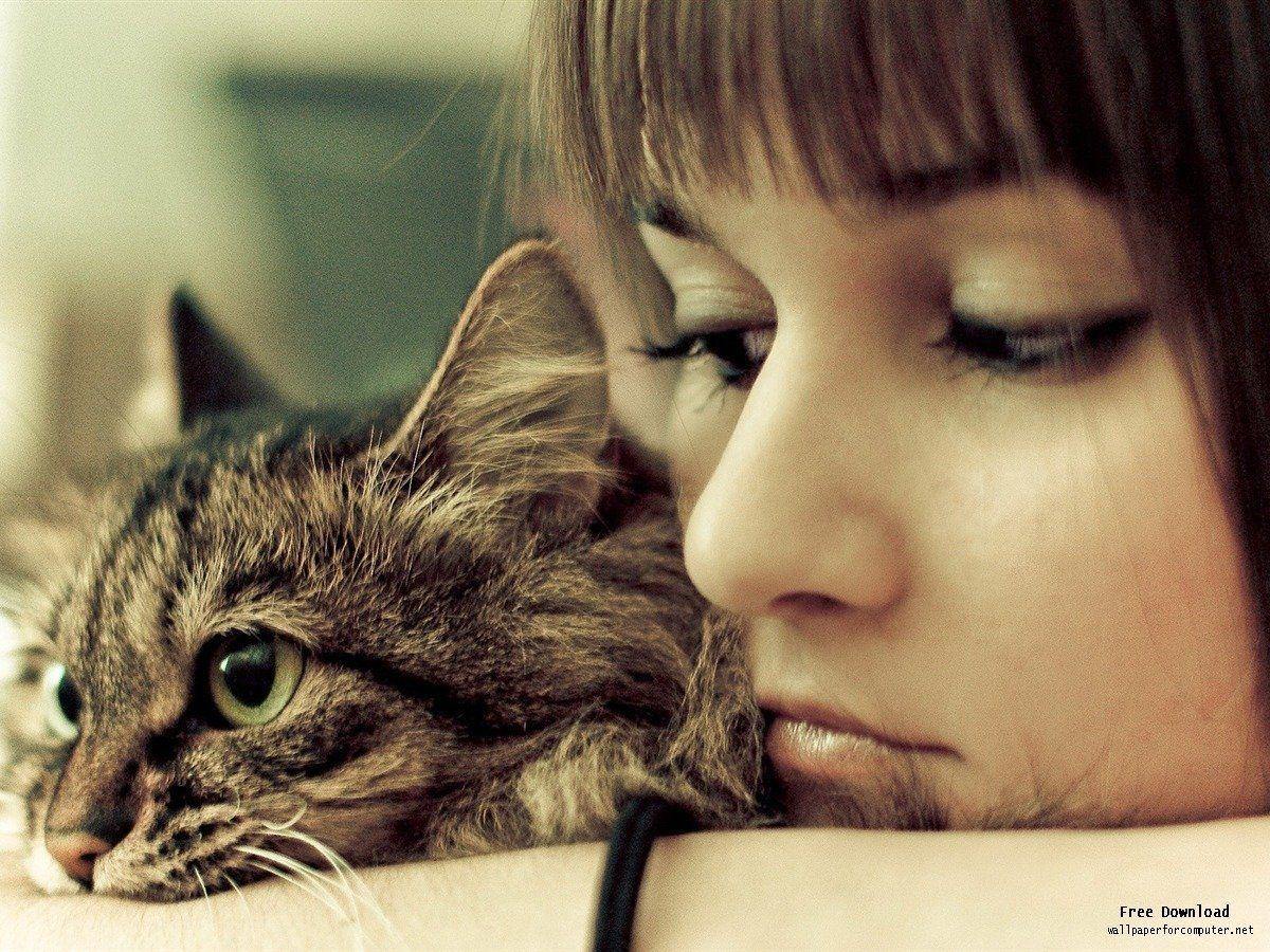 Girl And Cat Cute Little Kitty Cat Living Wallpaper View