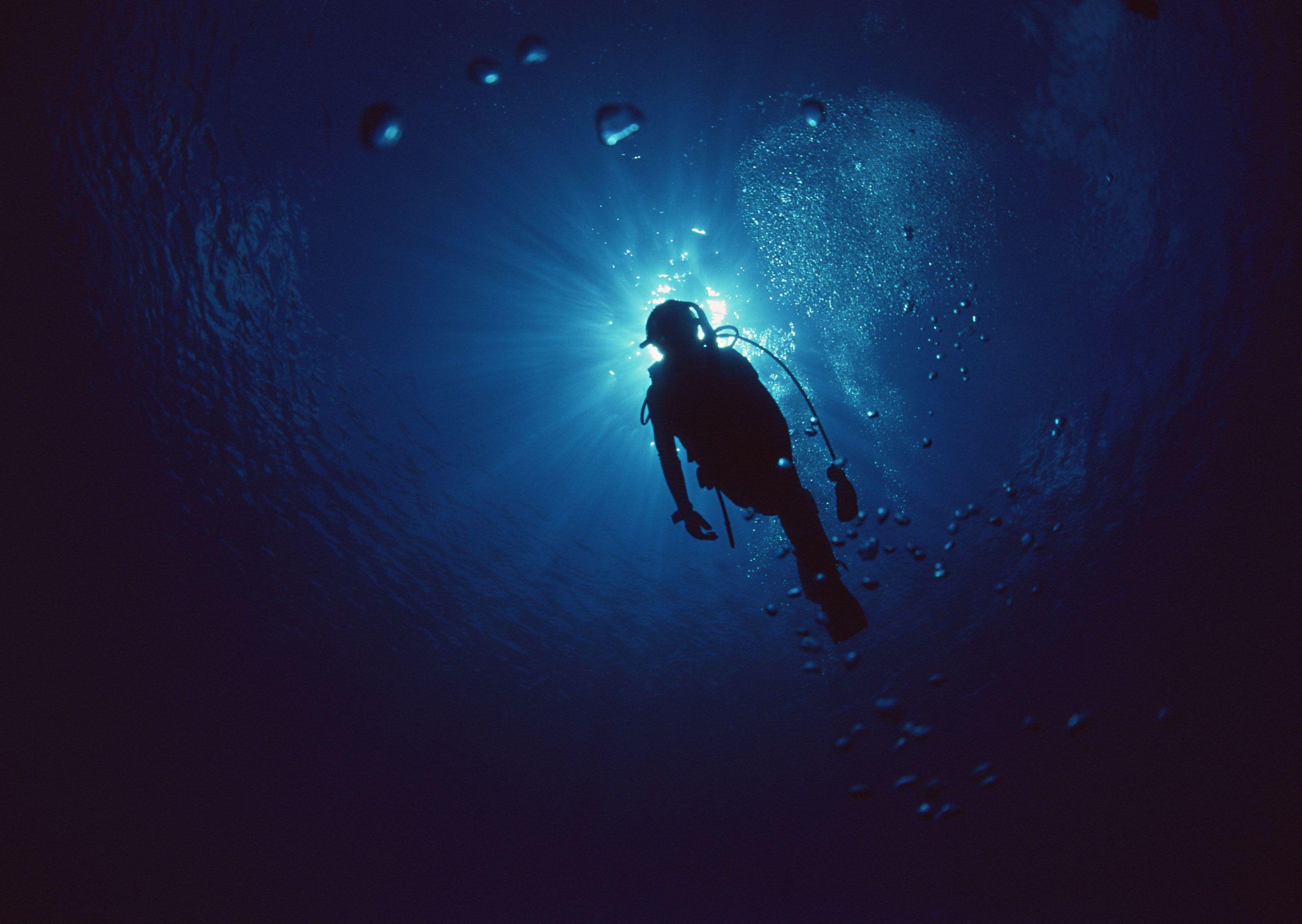 Free Scuba Diving Wallpapers - Wallpaper Cave