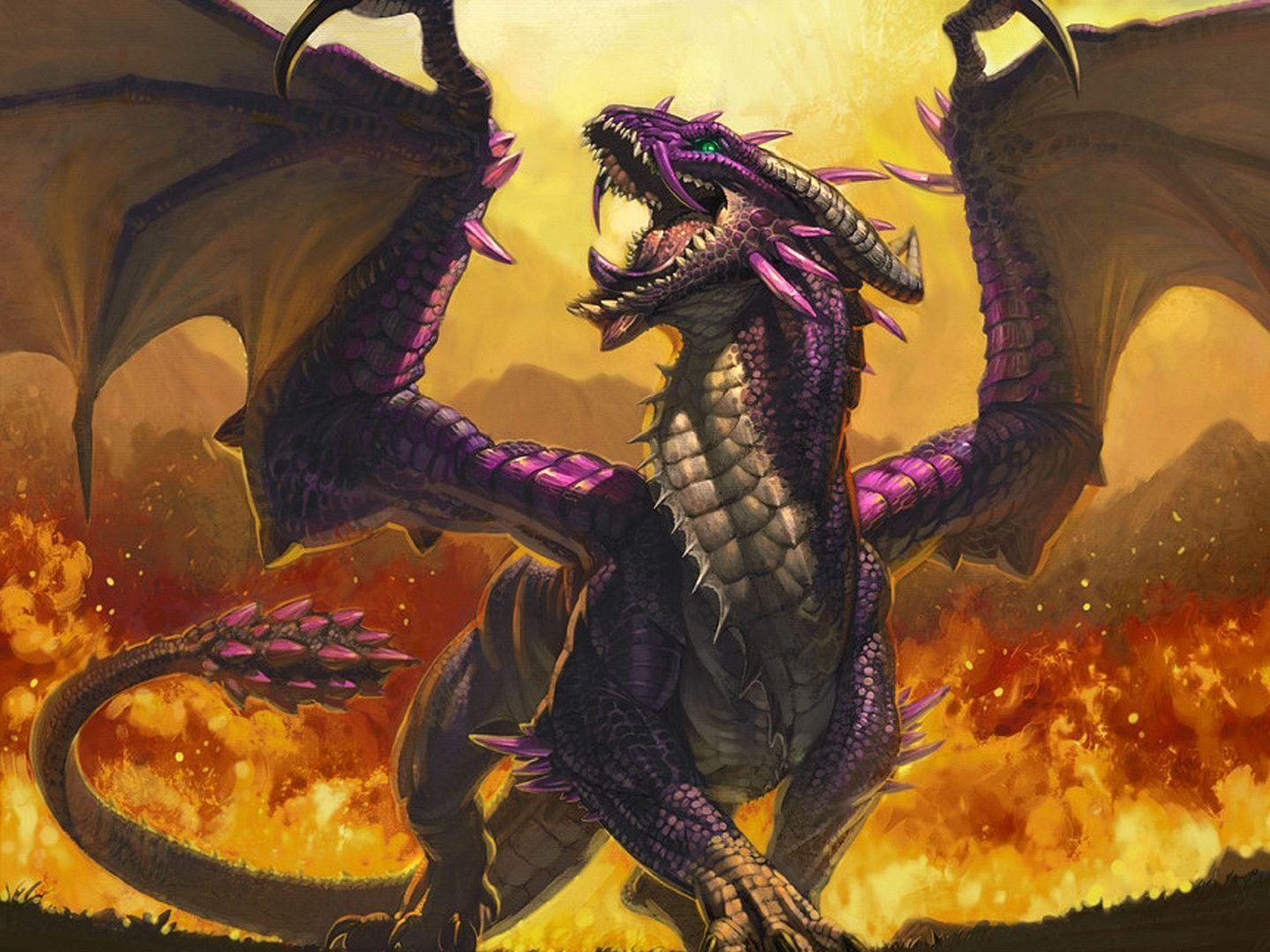 Fantasy Dragon Wallpaper 1440x1080 px Free Download
