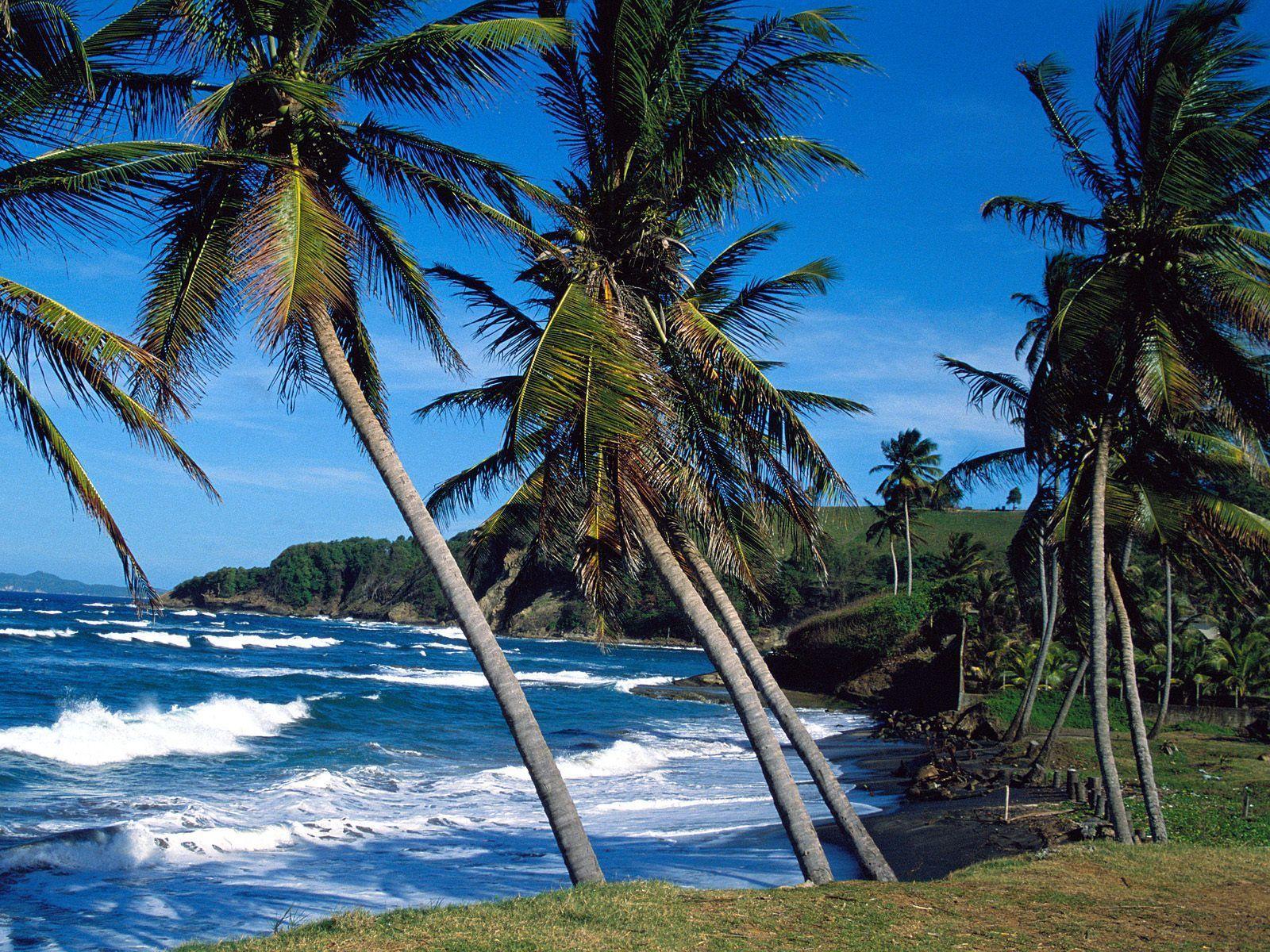 Download Nature Scenes Tropical Islands Summer Wallpaper 1600x1200