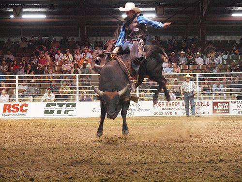 image For > Bull Riding Wallpaper HD