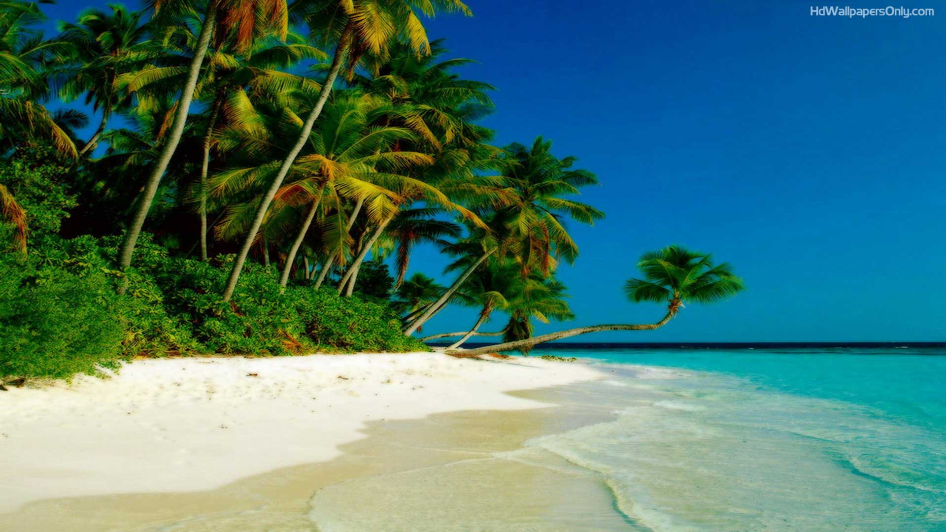 Beach HD Wallpaper 1080p Quality Image