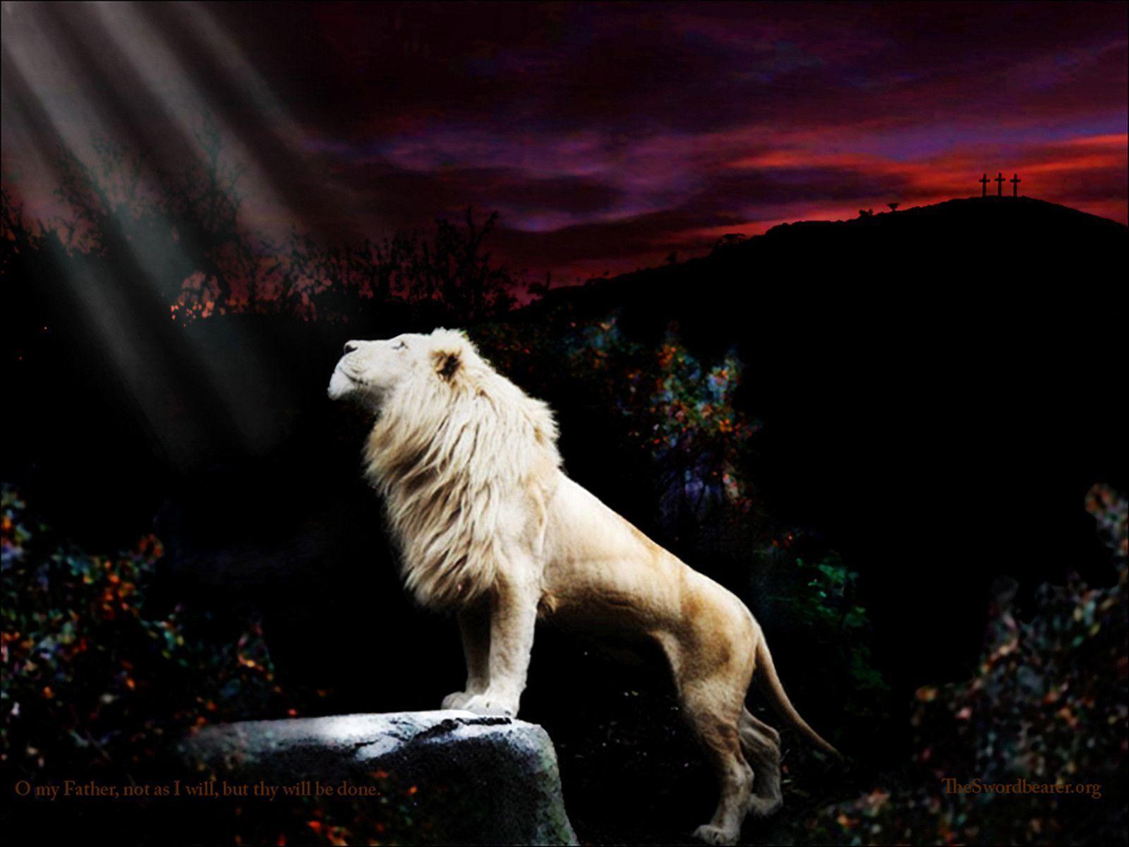 Wallpaper: The Lion of the tribe of Judah in Gethsemane