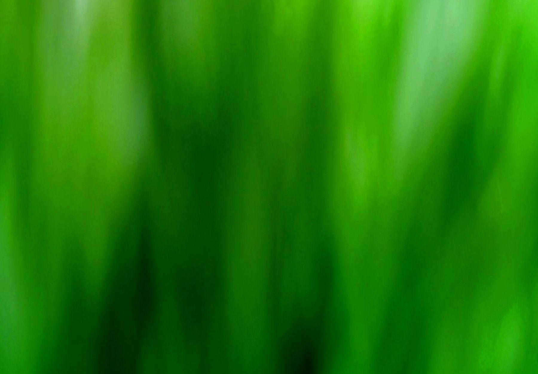 Wallpaper For > Abstract Background Dark Green