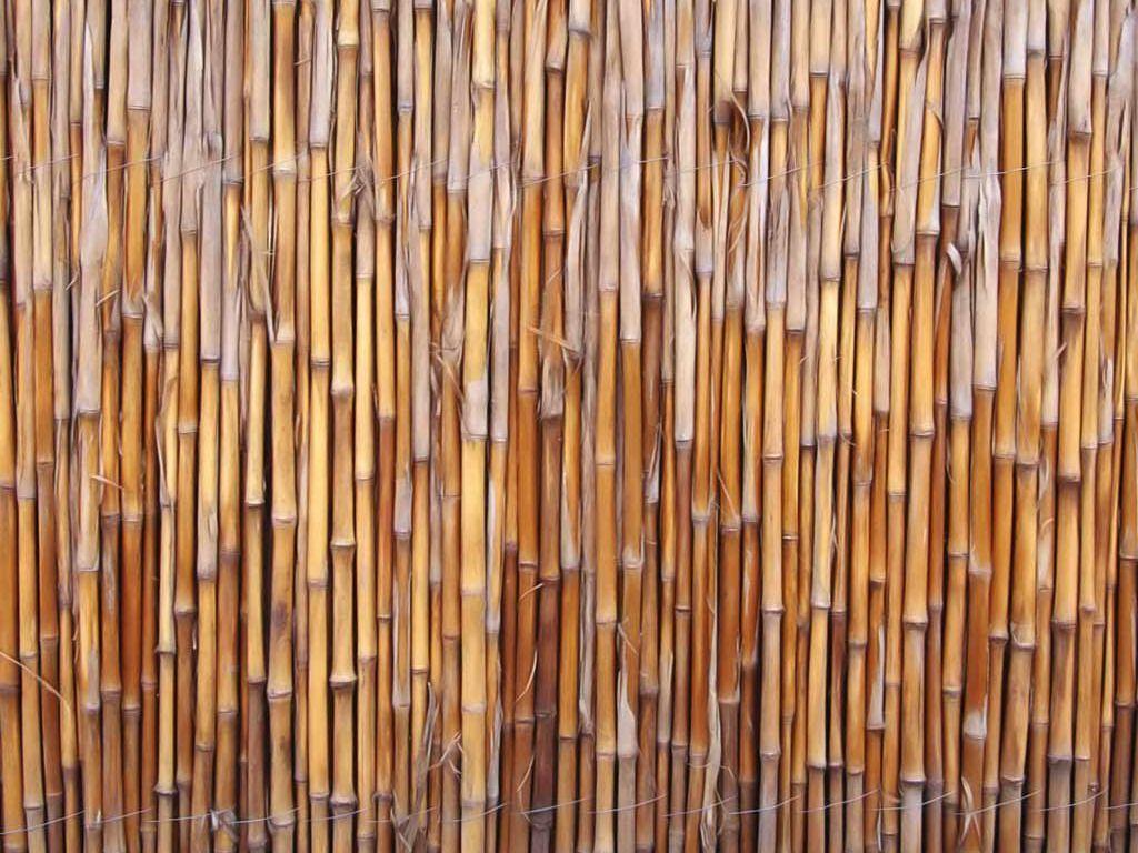 Wallpaper Made From Bamboo Wallpaper. ForestHDWallpaper