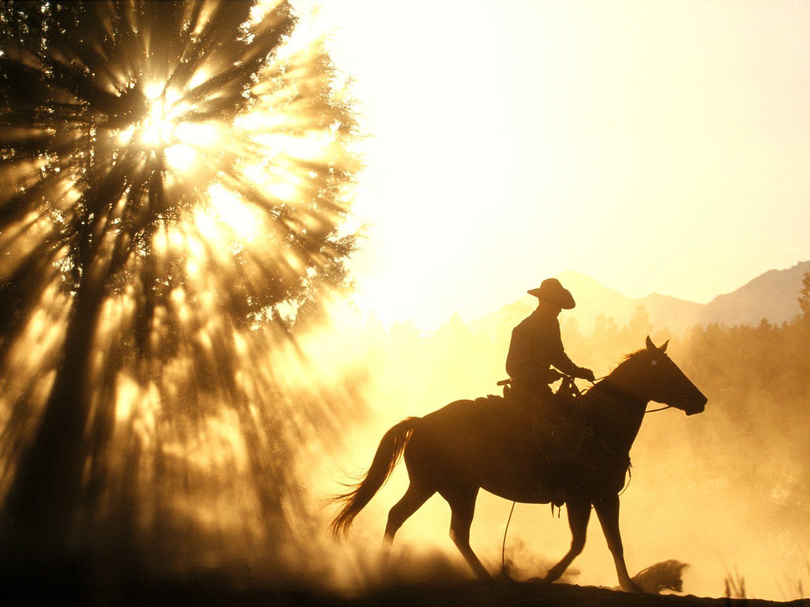 Cowboy on horse in sunset free desktop background wallpaper