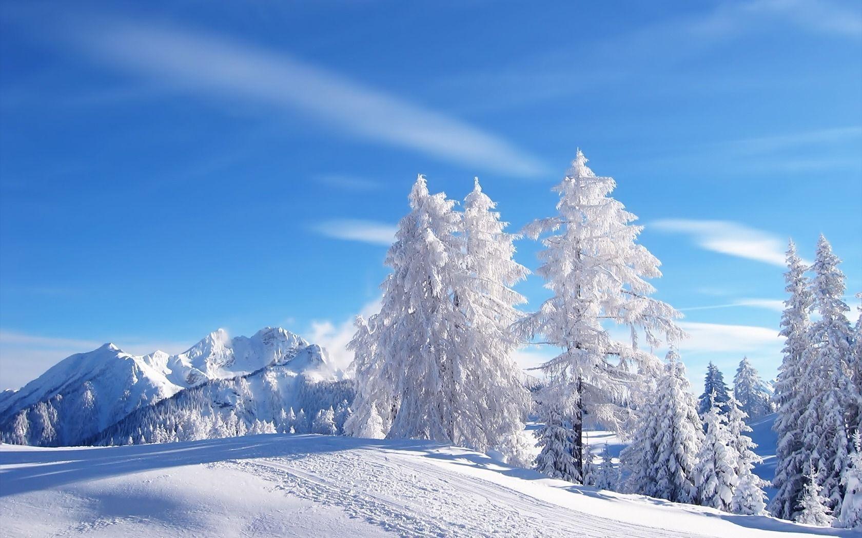 Download Beautiful Snowfall Wallpaper 15980 1680x1050 px High