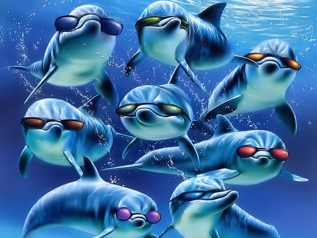 Dolphins free desktop background wallpaper image