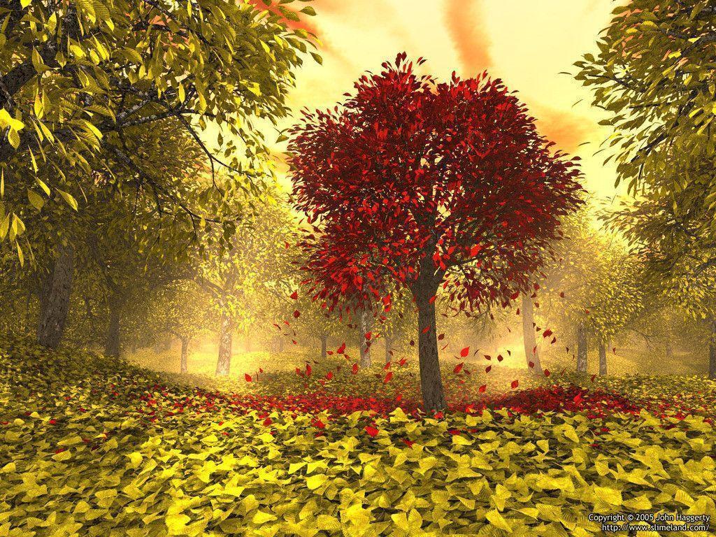 Wallpaper For > Fall Trees Wallpaper