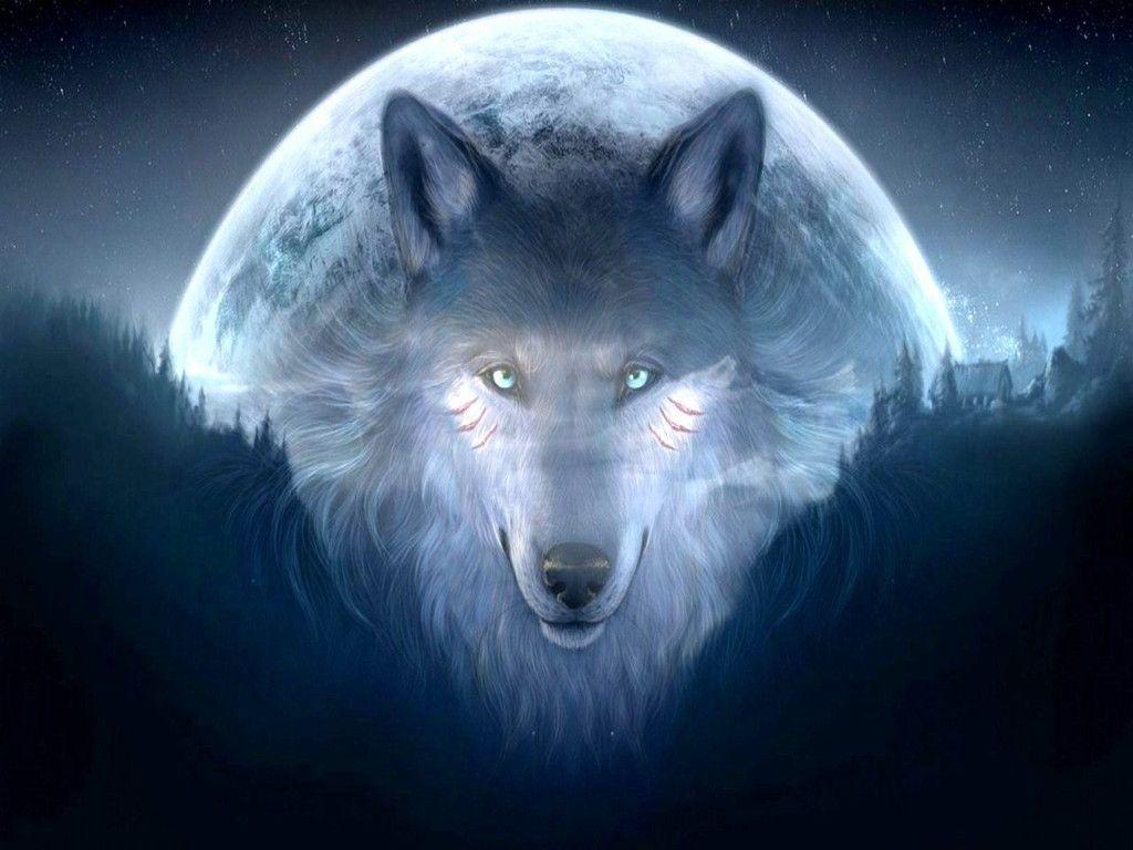 wolf background