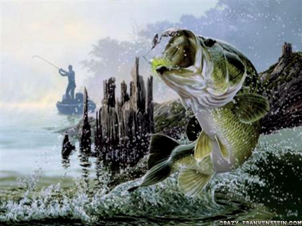 Fishing Wallpapers - Wallpaper Cave