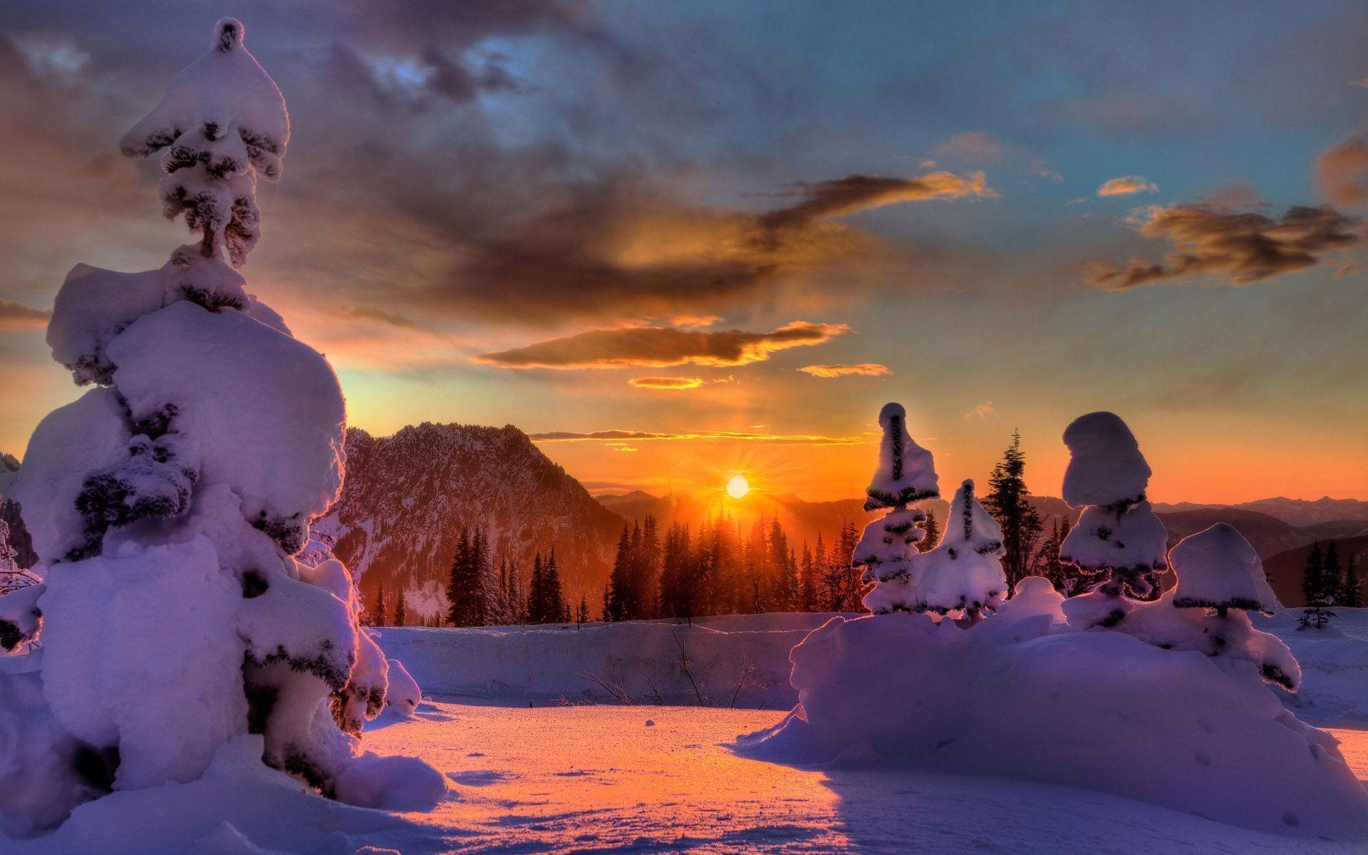 Winter sunset wallpaper and image, picture, photo