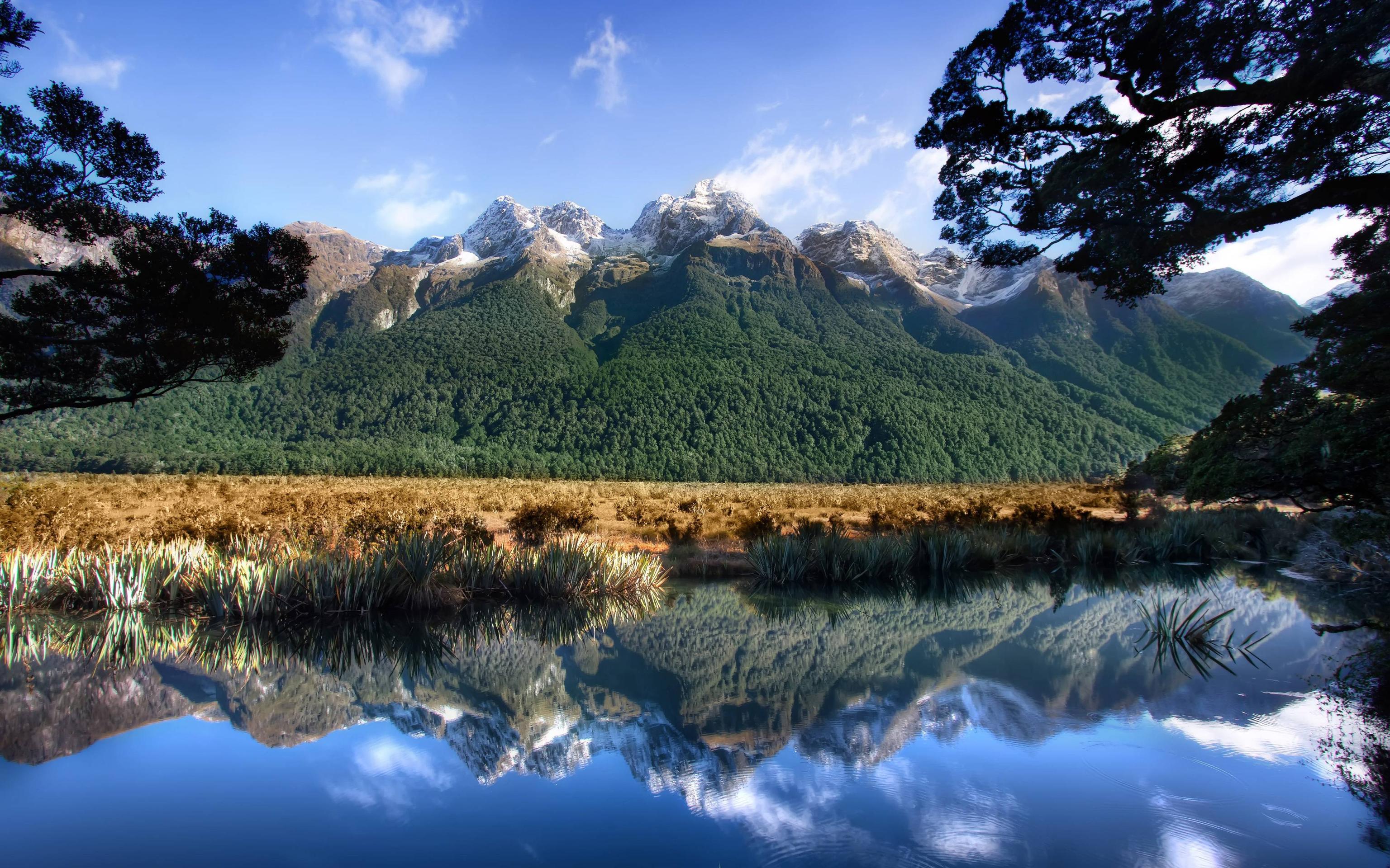 New Zealand, Milford Sound, Mirror Lake widescreen wallpaper. Wide