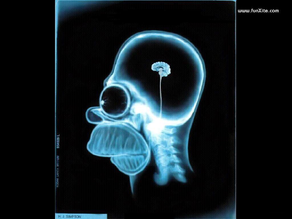 Simpsons Brain, Funny Wallpaper