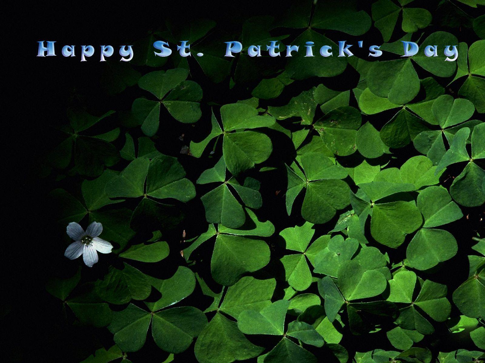 Free St Patricks Day Wallpaper Photo Picture Image Free 1024x768