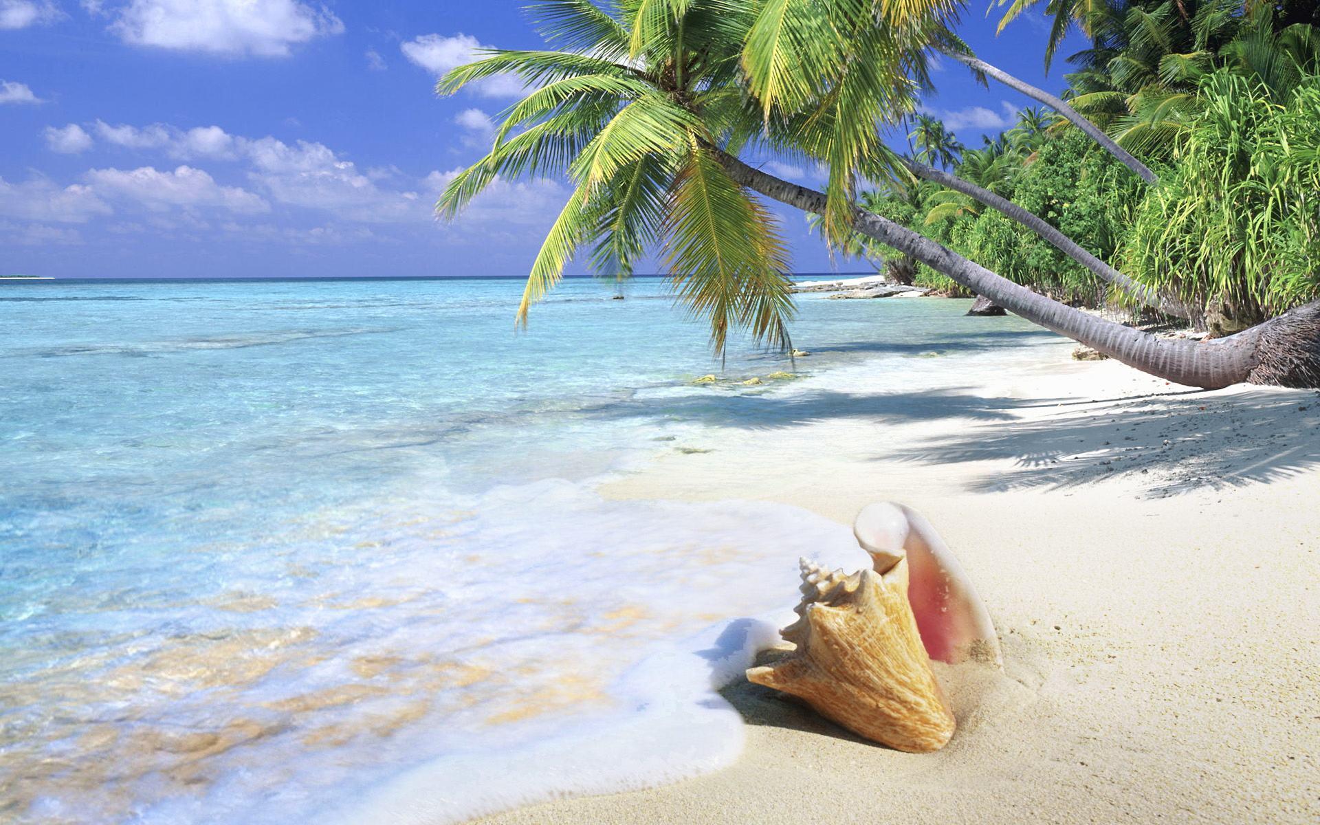 Tropical Beach Desktop Wallpaper Wallpaper