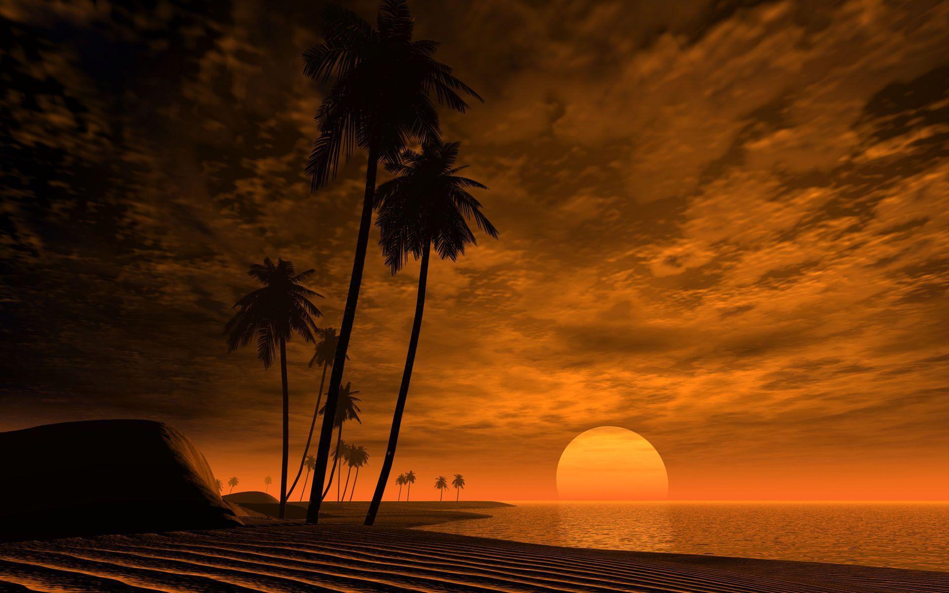 African Sunset Wallpaper. Sky HD Wallpaper