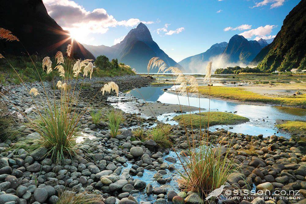 New Zealand Landscape Photo. Evening Sun, Milford Sound & Mitre