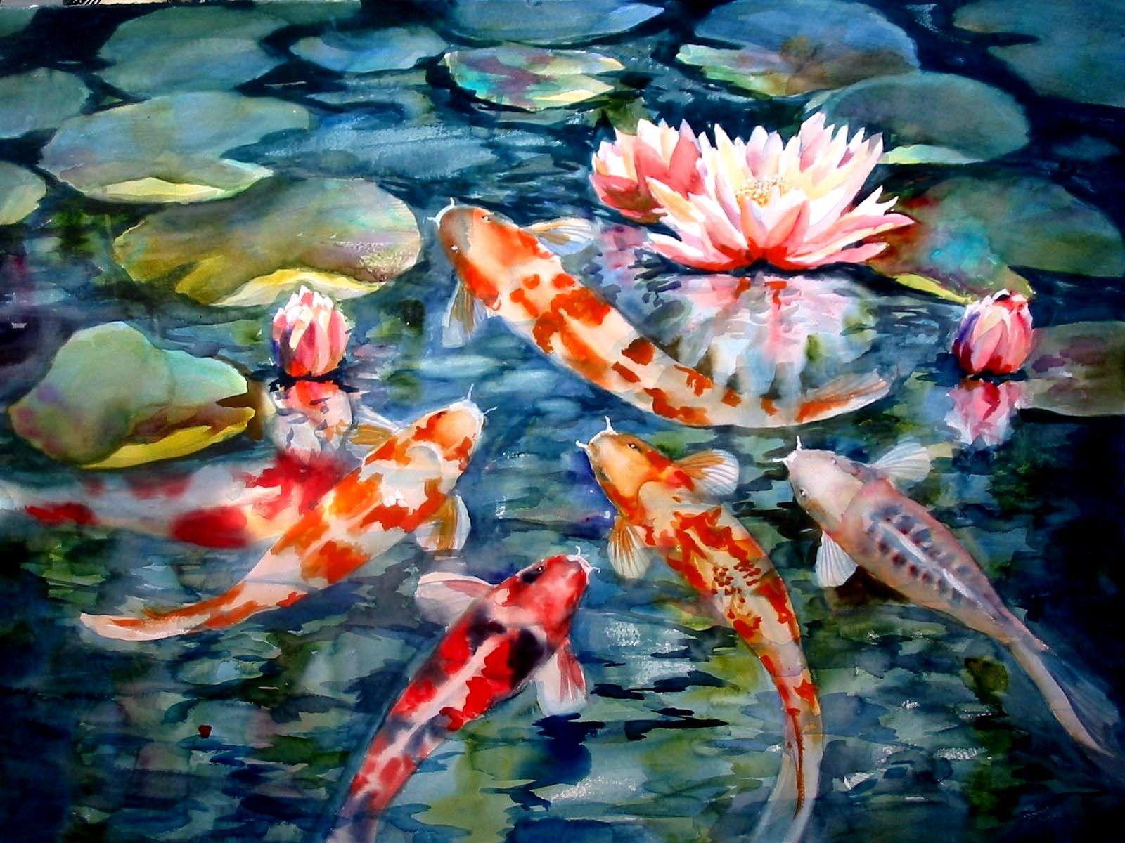 Koi Pond Wallpapers Wallpaper Cave