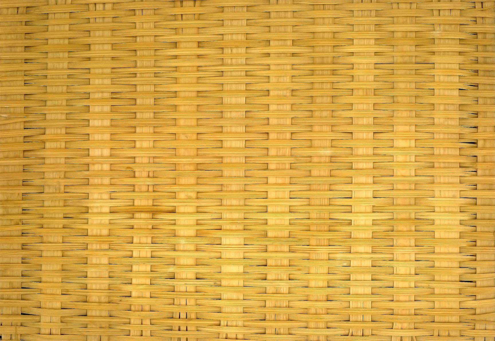 Oasis Coffin_bamboo Background