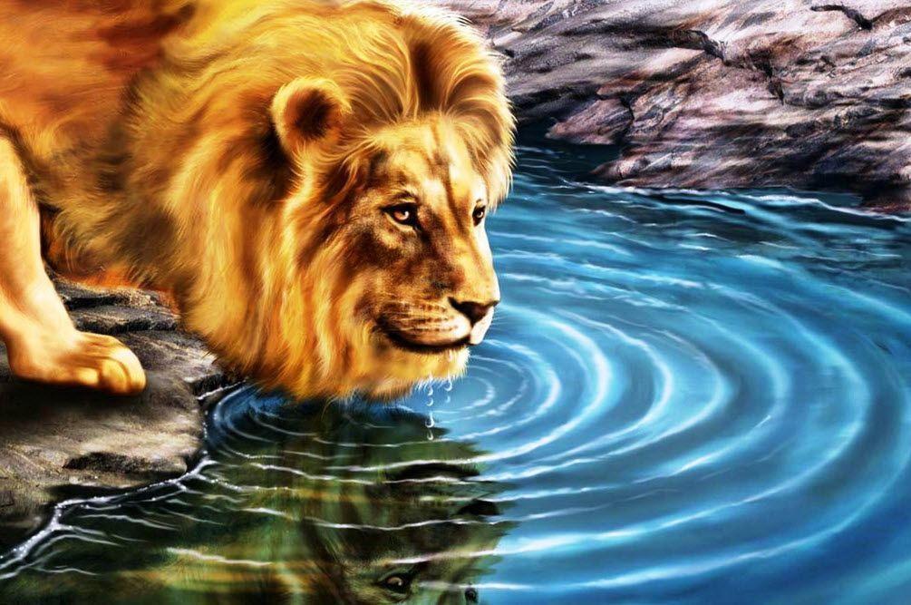 Lion 3D Desktop of Wallpaper HD