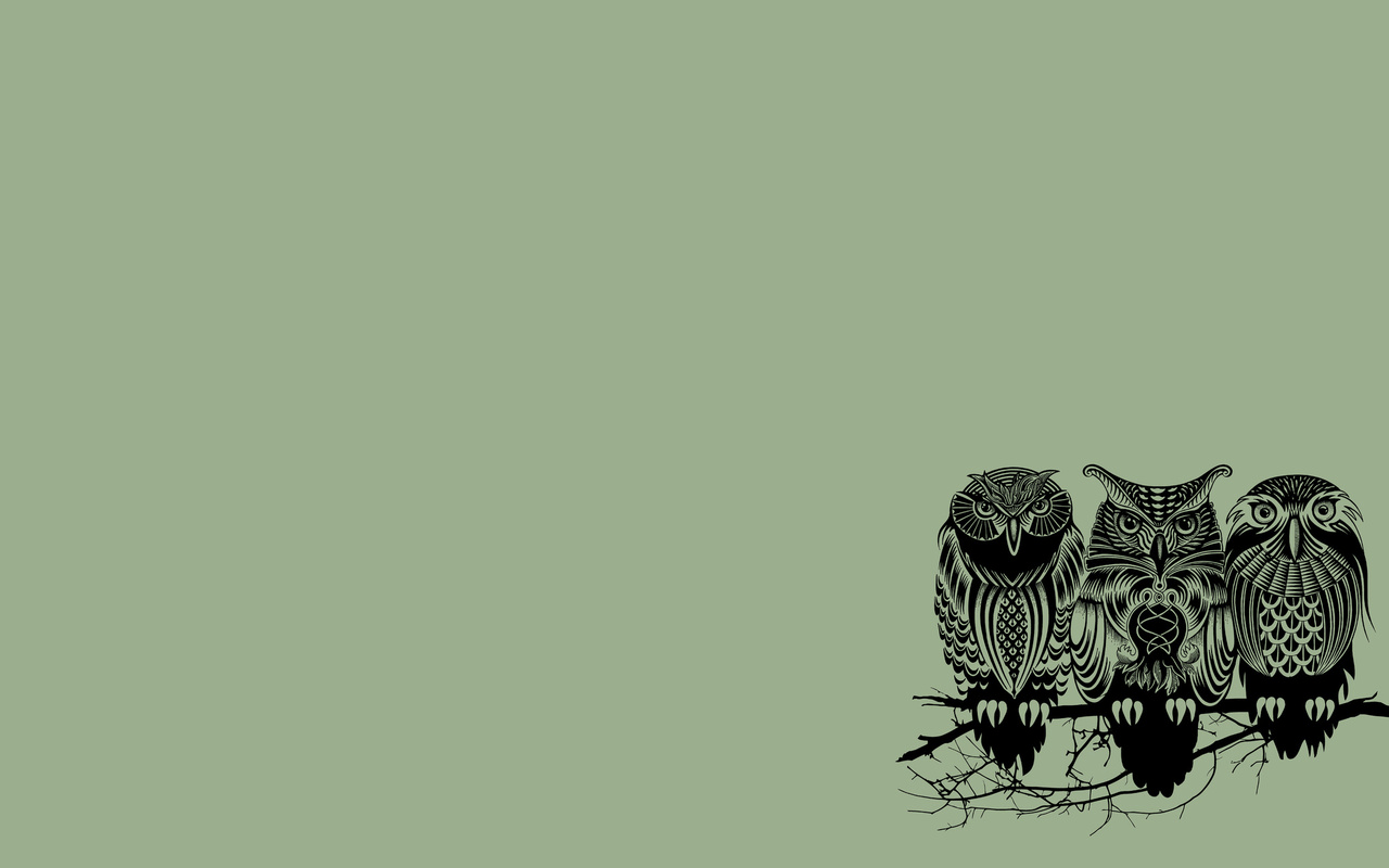 Owl Desk Wallpaper and Background