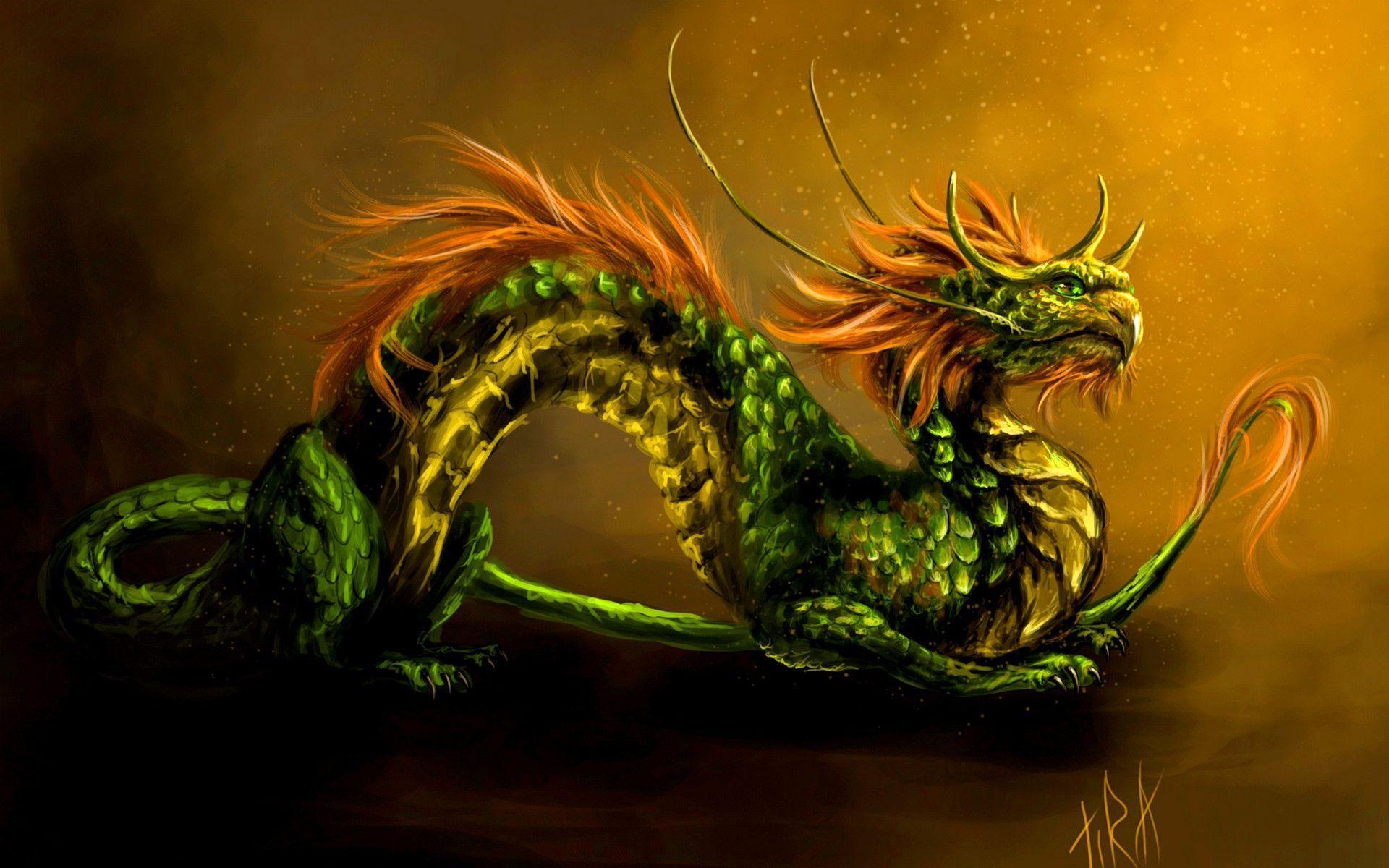 Green Dragon Background, wallpaper, Green Dragon Background HD