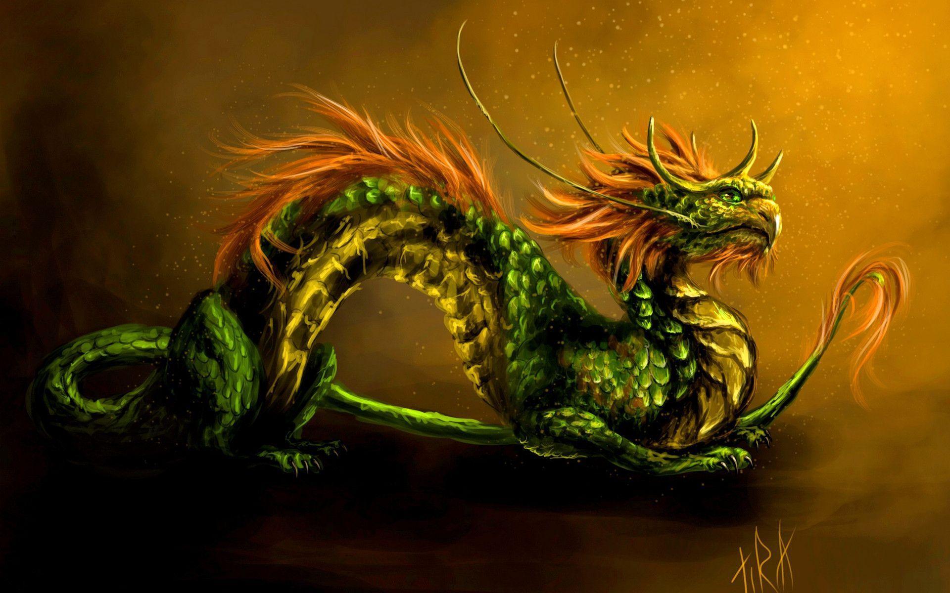 Dragon HD Wallpapers Wallpaper Cave