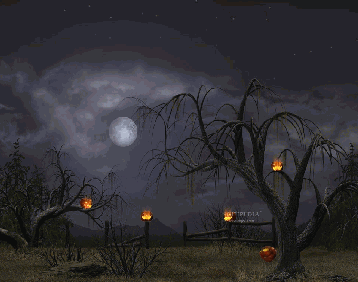 Halloween Background & Wallpaper Collection 2014