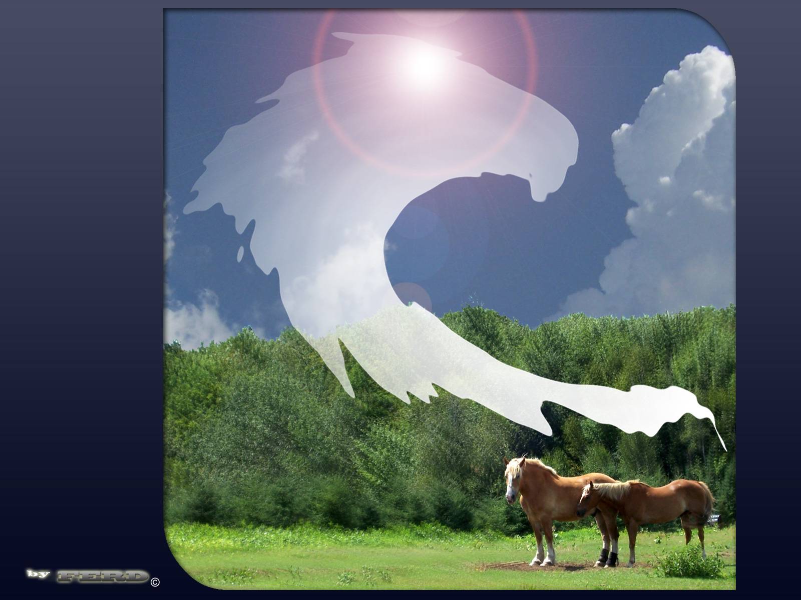 Mobile Windows Background Winter Horses Animals Horse desktop