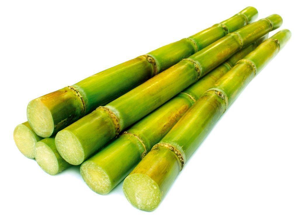 Cooking with sugarcane: How to use it in recipes at home