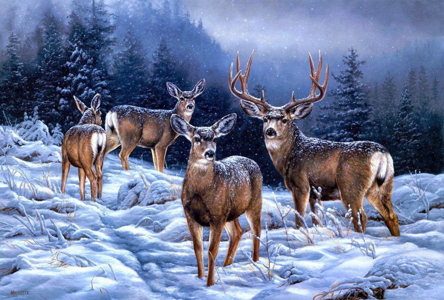 Reindeer Beautiful Wallpaper 4