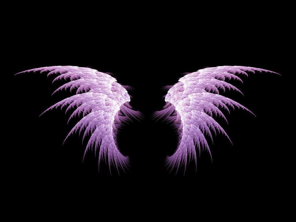 Pix For > Angel Wings Background