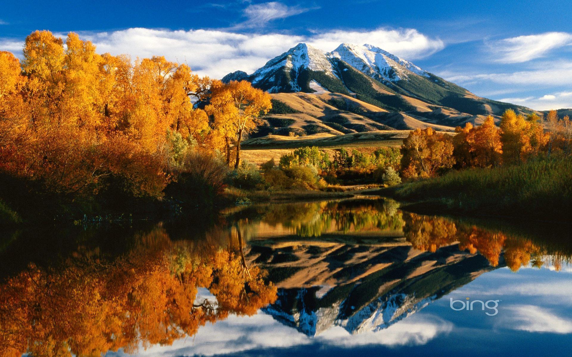 Bing Image Wallpapers Wallpaper Cave Bing Image Wallpapers Wallpaper Cave
