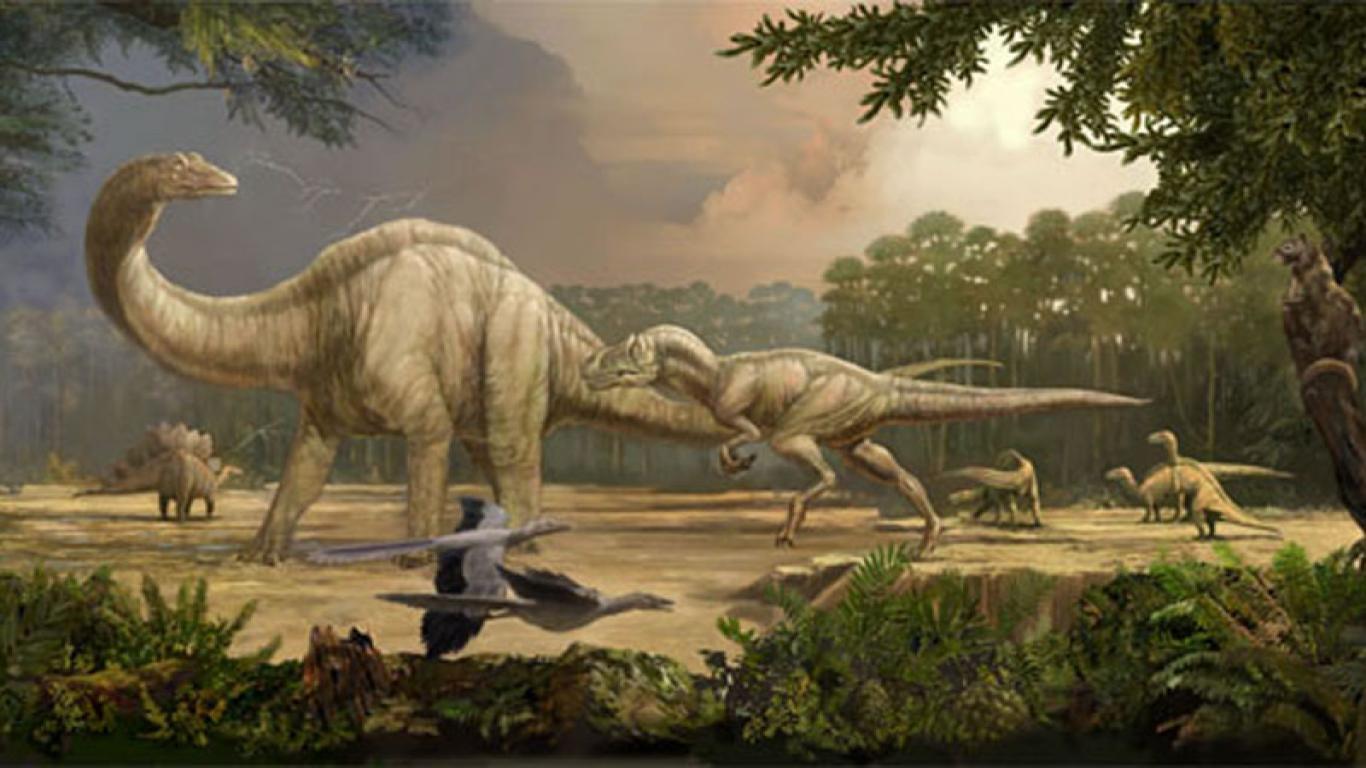 Wallpaper For > Dinosaurs Wallpaper HD