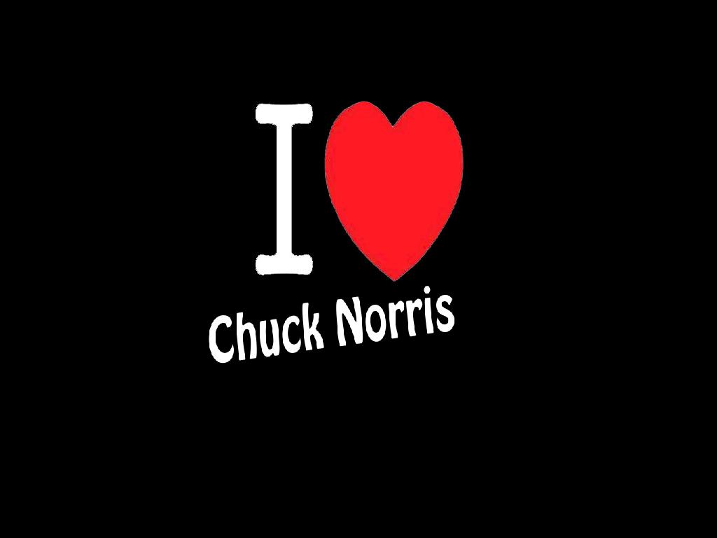 Wallpaper I Love Chuck Norris 1024x768 PC, Laptop or mobile cell