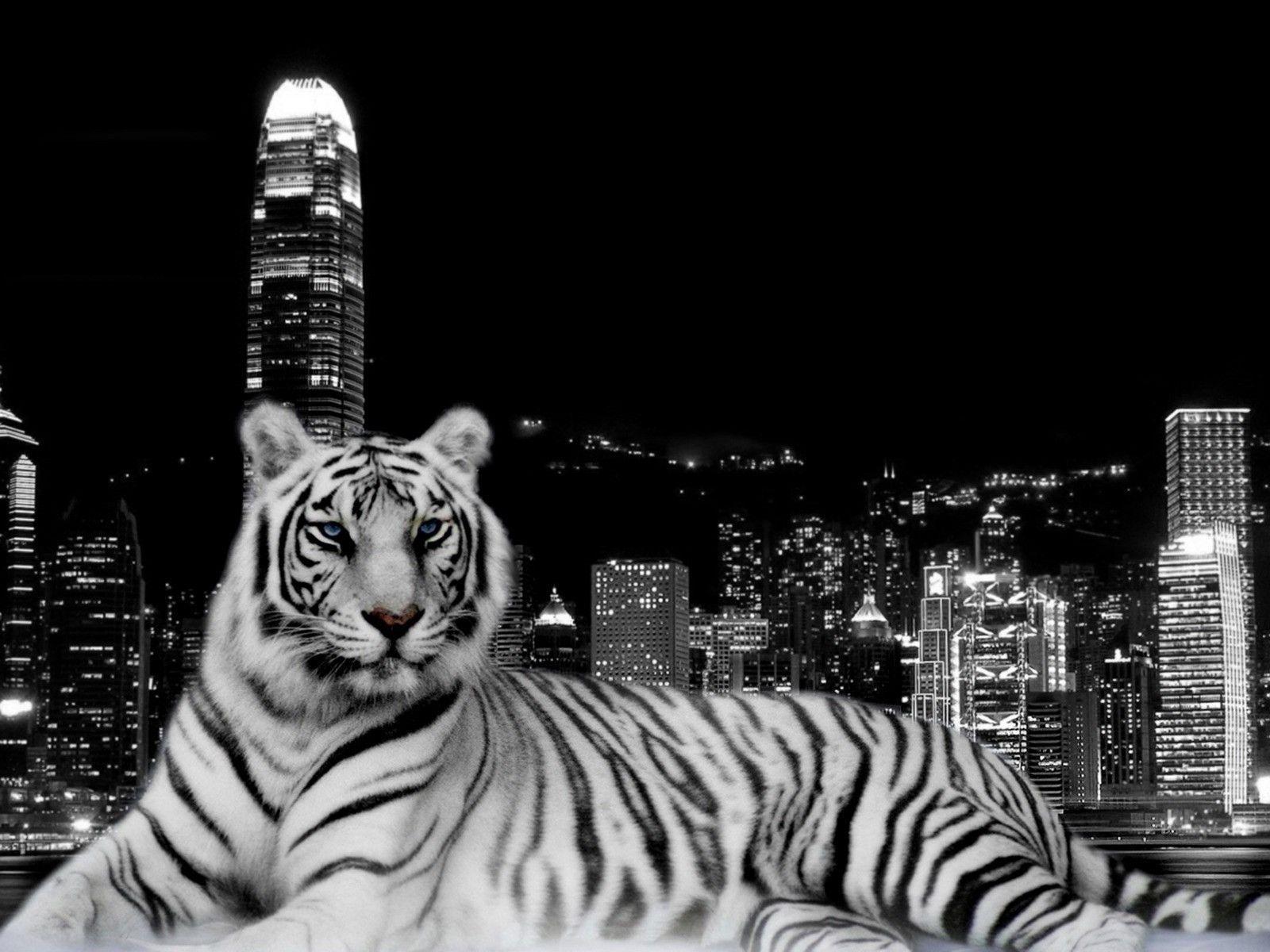 White Tiger and City Skyline at Night Free and Wallpaper