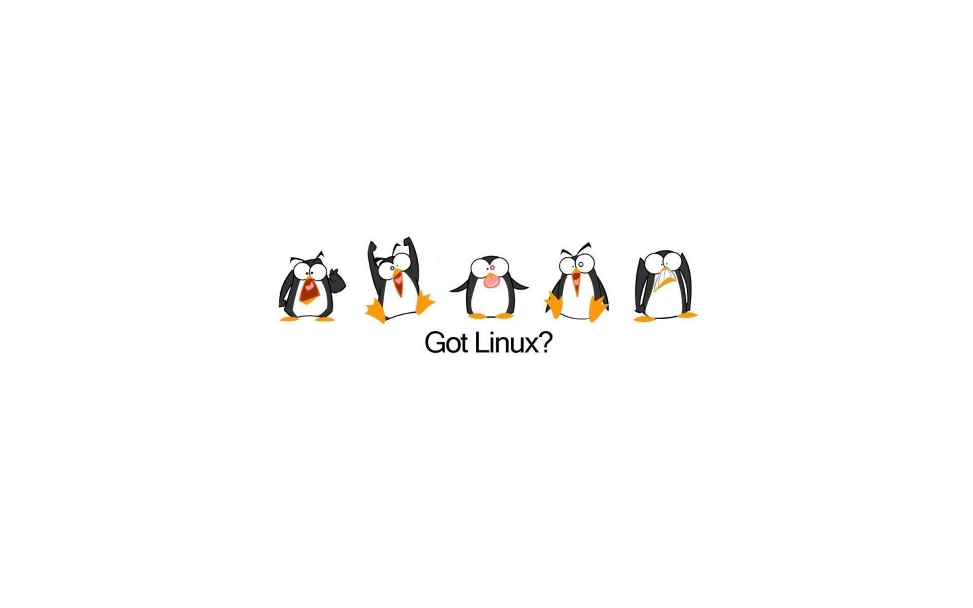Linux Penguin Wallpaper HD wallpaper search