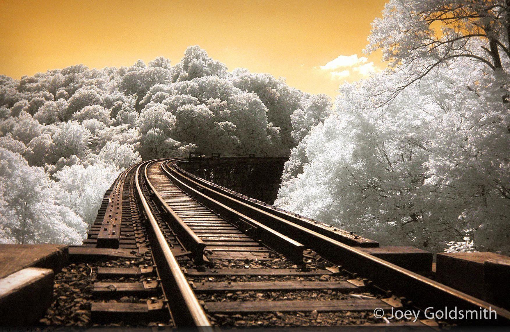 Train Track Free Anime Wallpaper And Background HD Wallpaper